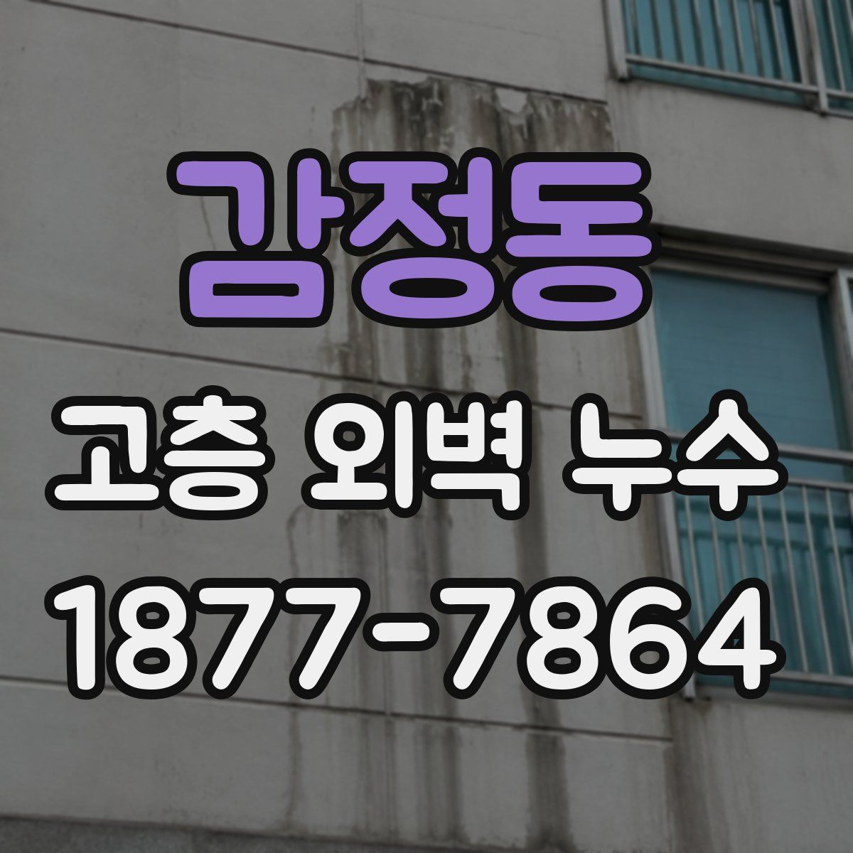 감정동 고층 외벽 누수