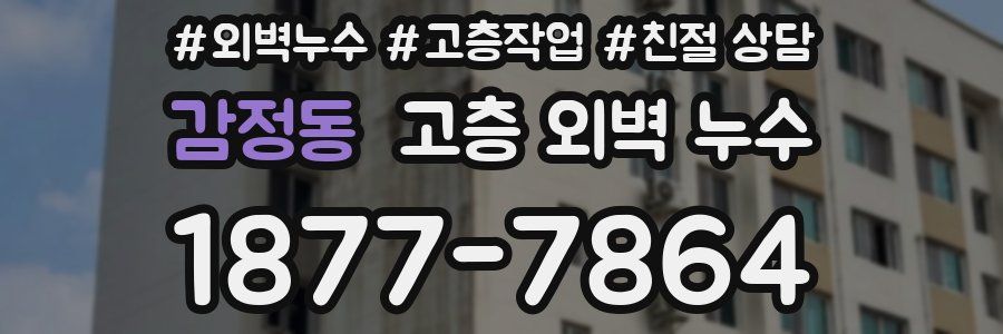 감정동 고층 외벽 누수