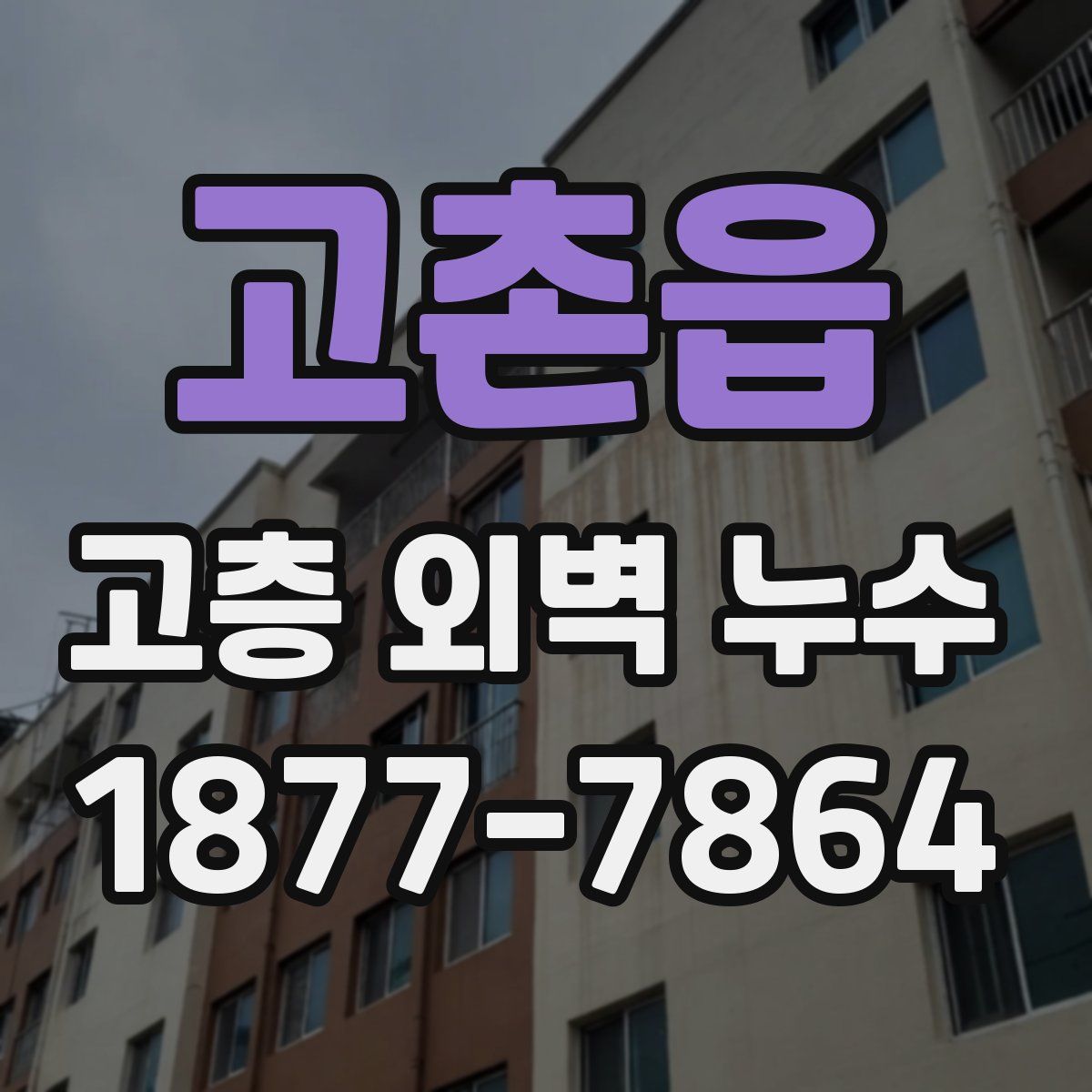 고촌읍 고층 외벽 누수