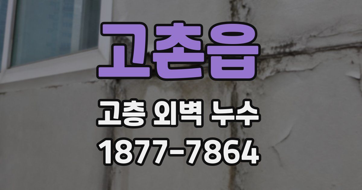 고촌읍 고층 외벽 누수