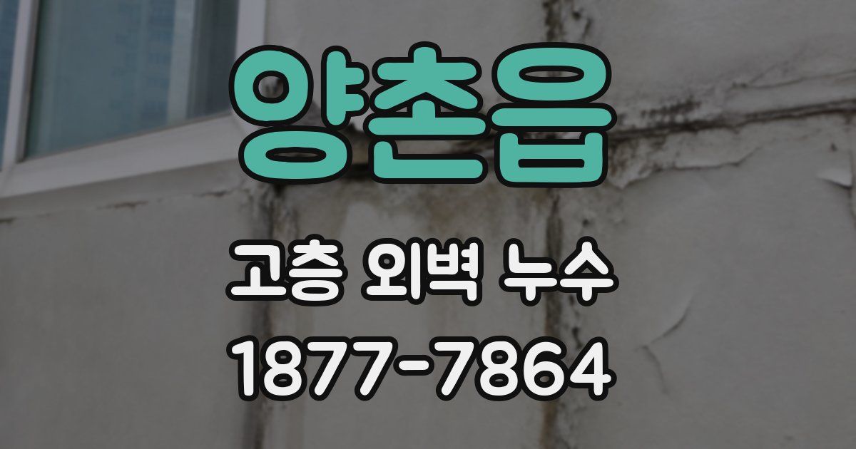 양촌읍 고층 외벽 누수