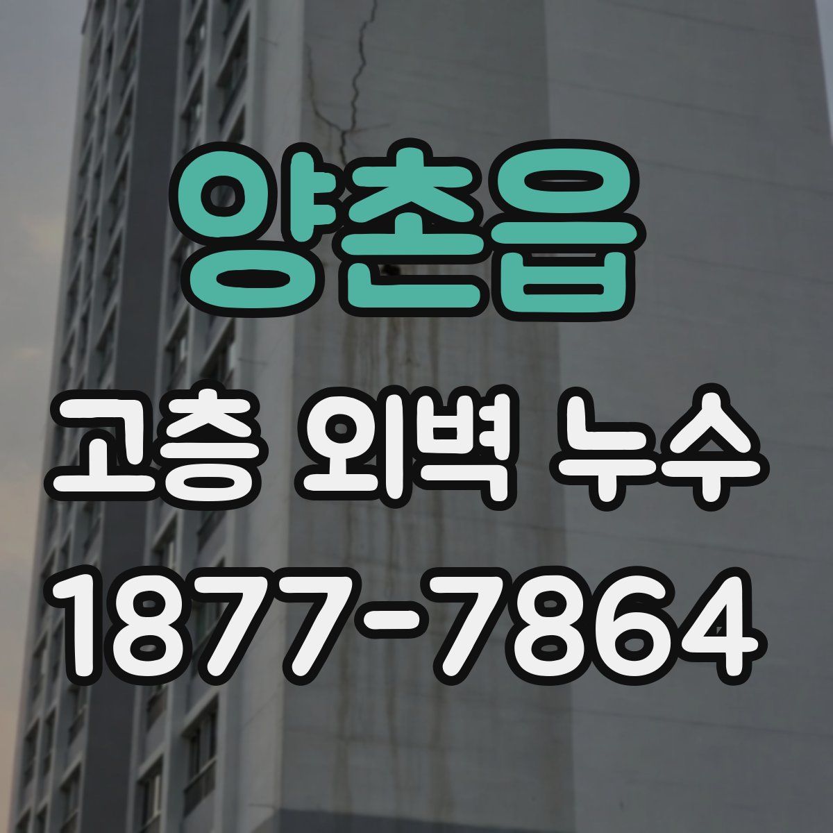 양촌읍 고층 외벽 누수