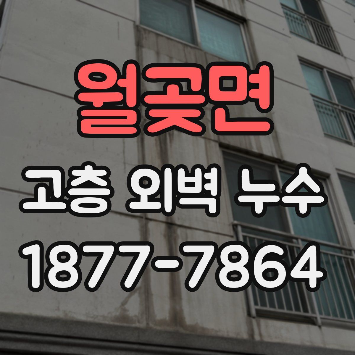 월곶면 고층 외벽 누수