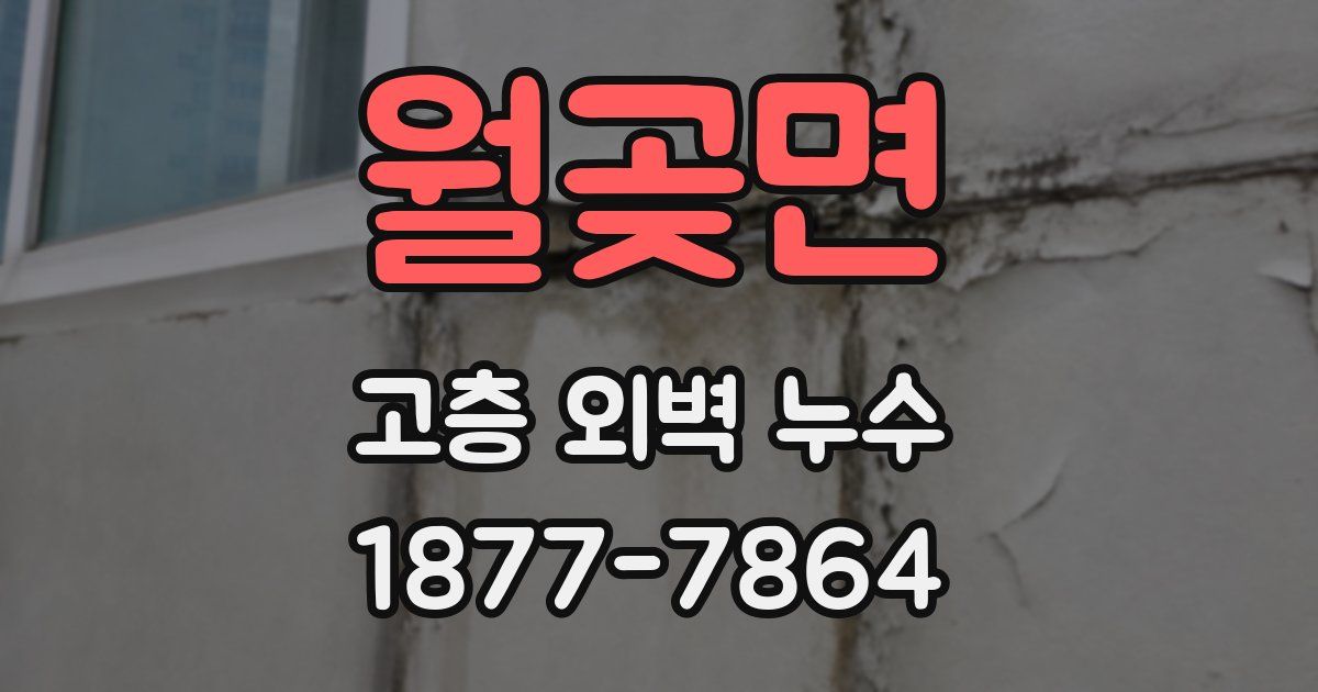 월곶면 고층 외벽 누수