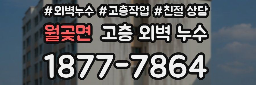 월곶면 고층 외벽 누수