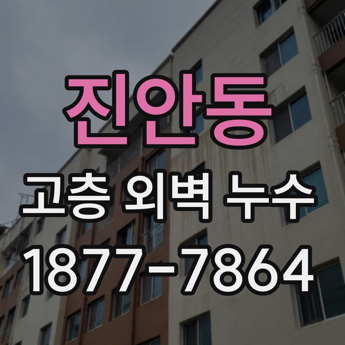 진안동 고층 외벽 누수