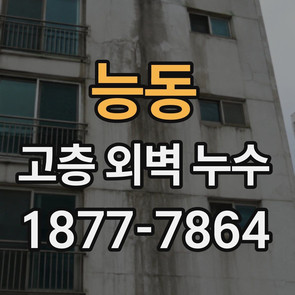 능동 고층 외벽 누수 원인 파악을 위한 현장 관찰 포인트