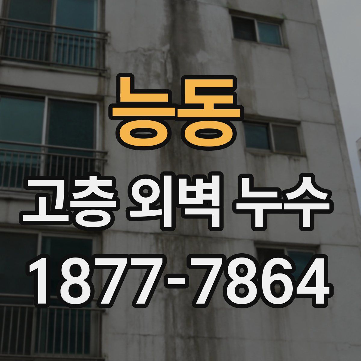 능동 고층 외벽 누수