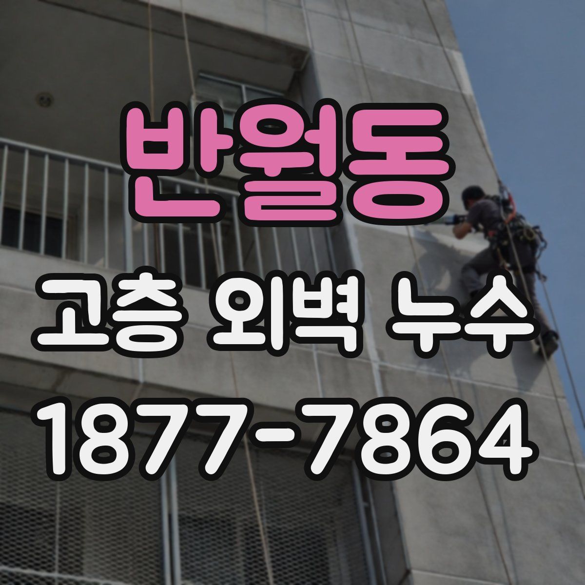 반월동 고층 외벽 누수