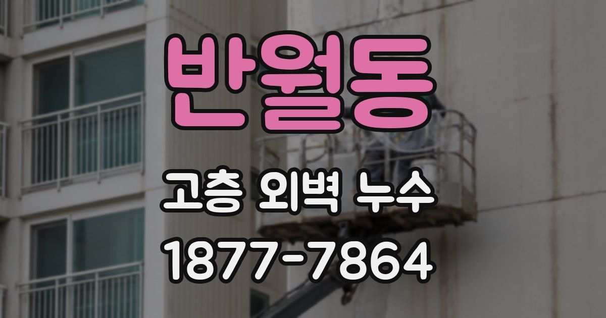 반월동 고층 외벽 누수