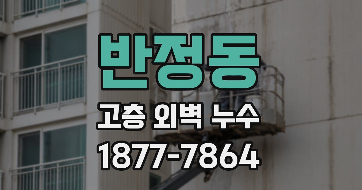 반정동 고층 외벽 누수
