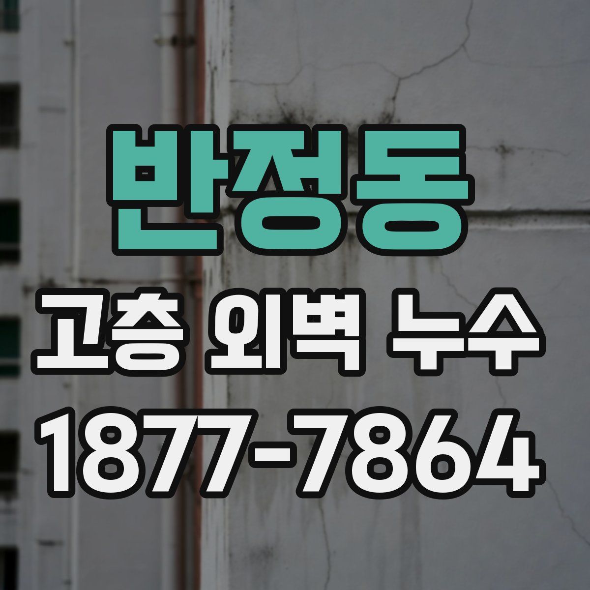 반정동 고층 외벽 누수