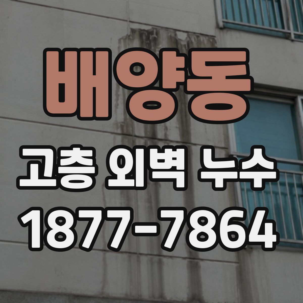 배양동 고층 외벽 누수