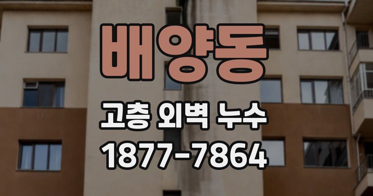 배양동 고층 외벽 누수