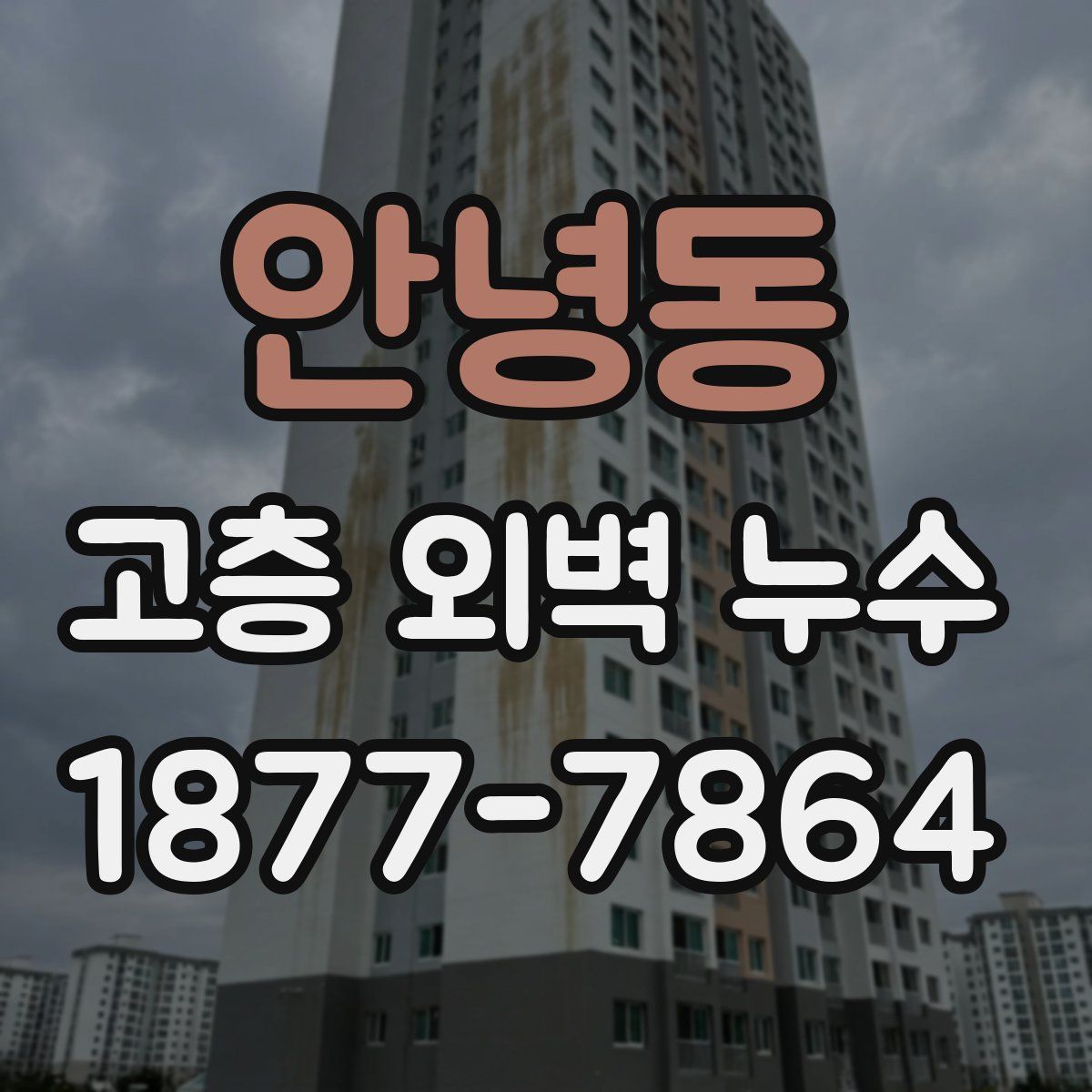 안녕동 고층 외벽 누수