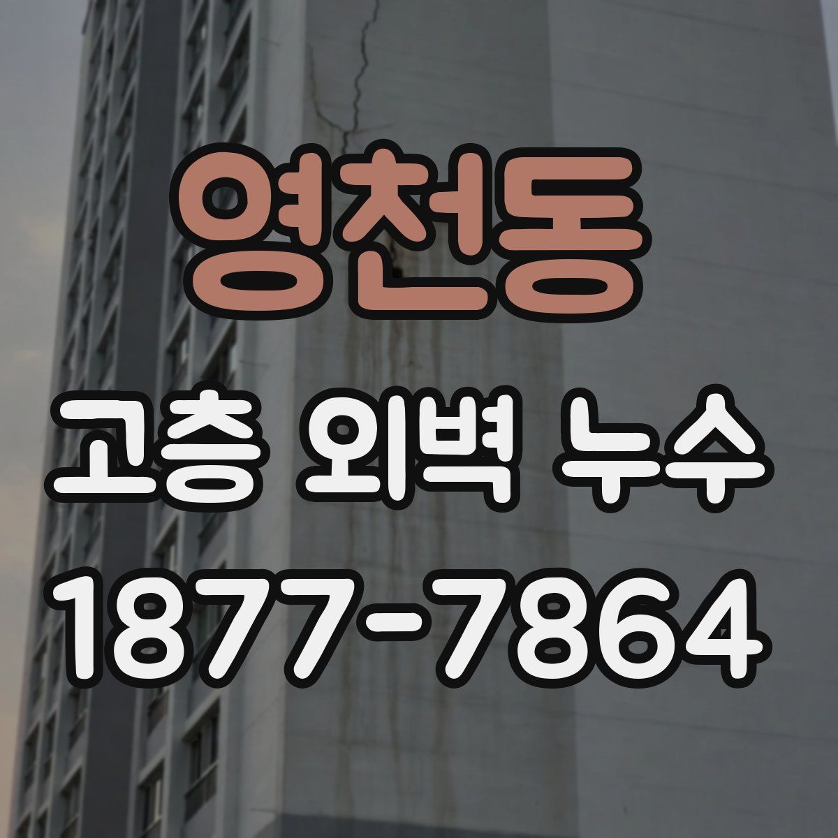 영천동 고층 외벽 누수