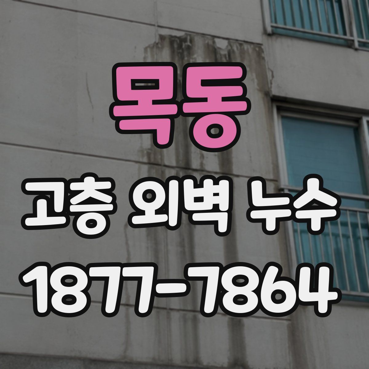 목동 고층 외벽 누수