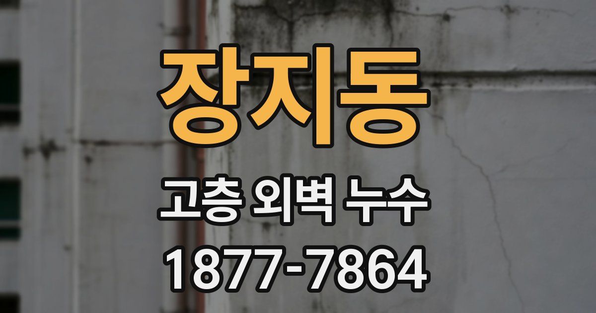 장지동 고층 외벽 누수