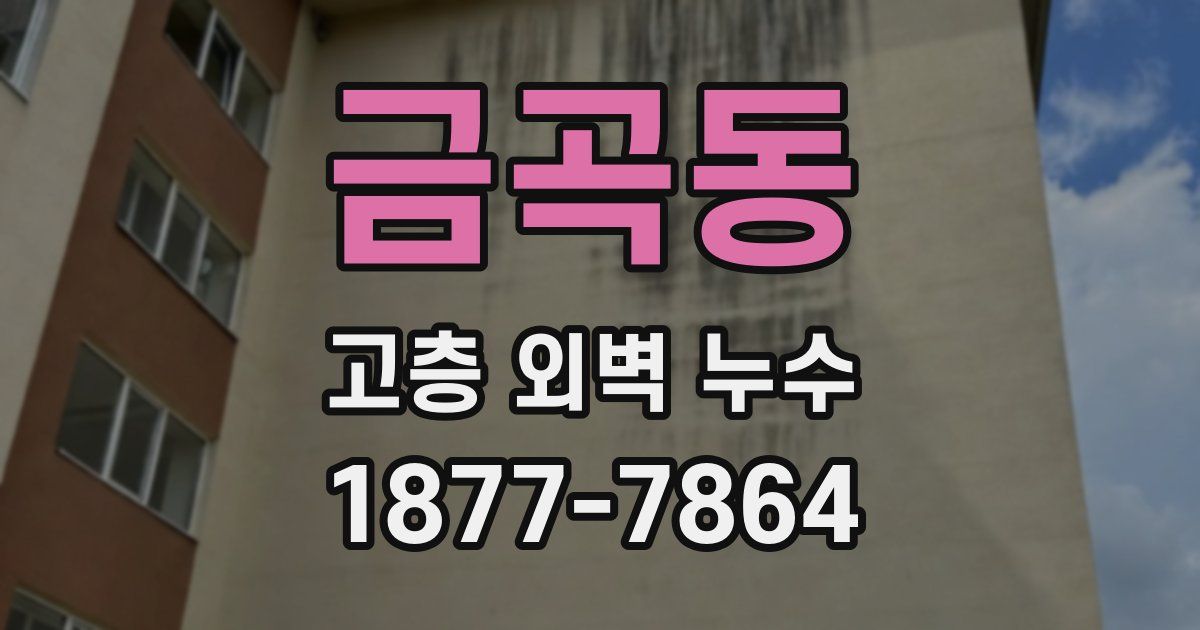 금곡동 고층 외벽 누수