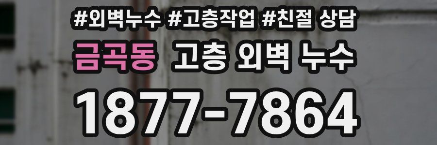 금곡동 고층 외벽 누수