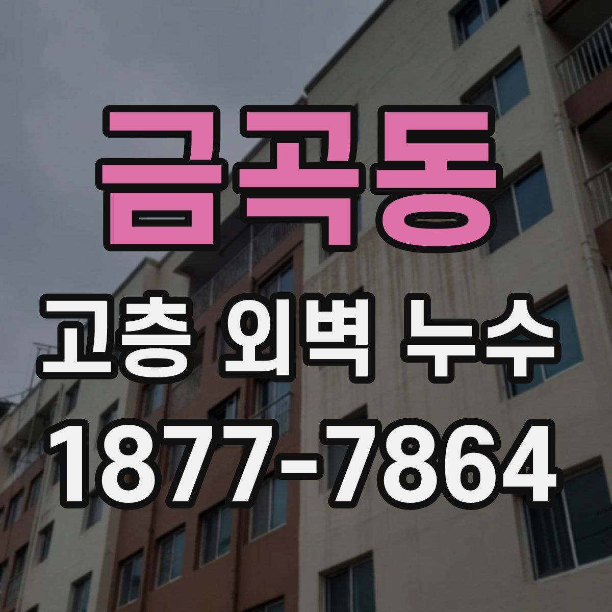 금곡동 고층 외벽 누수
