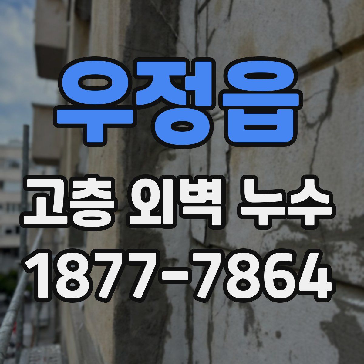 우정읍 고층 외벽 누수