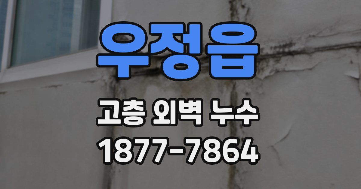 우정읍 고층 외벽 누수