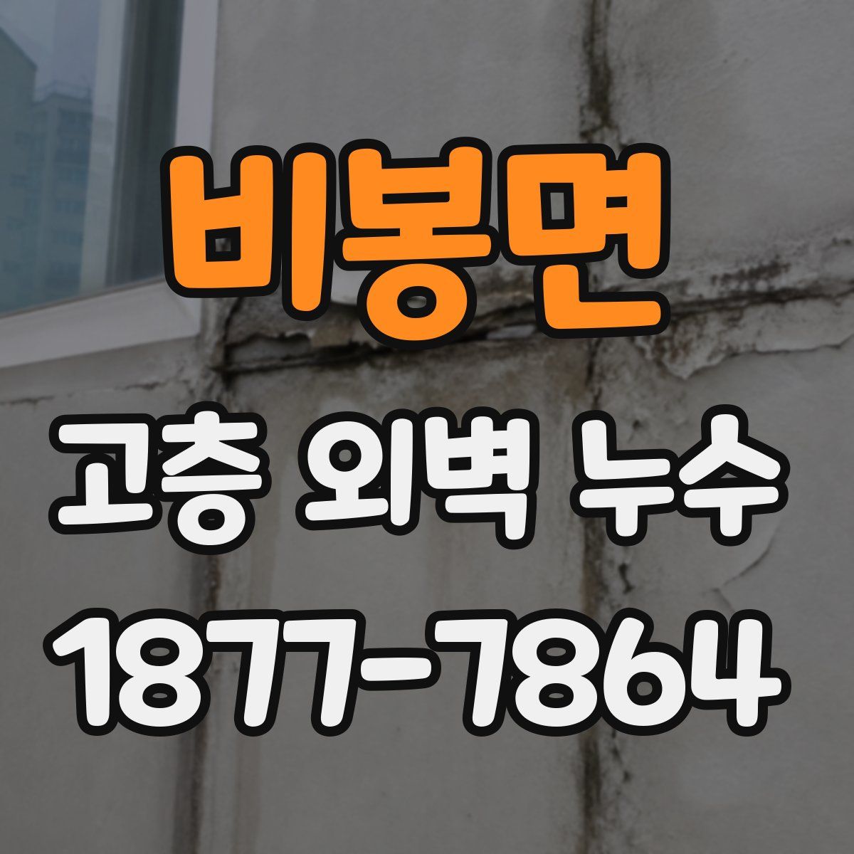 비봉면 고층 외벽 누수