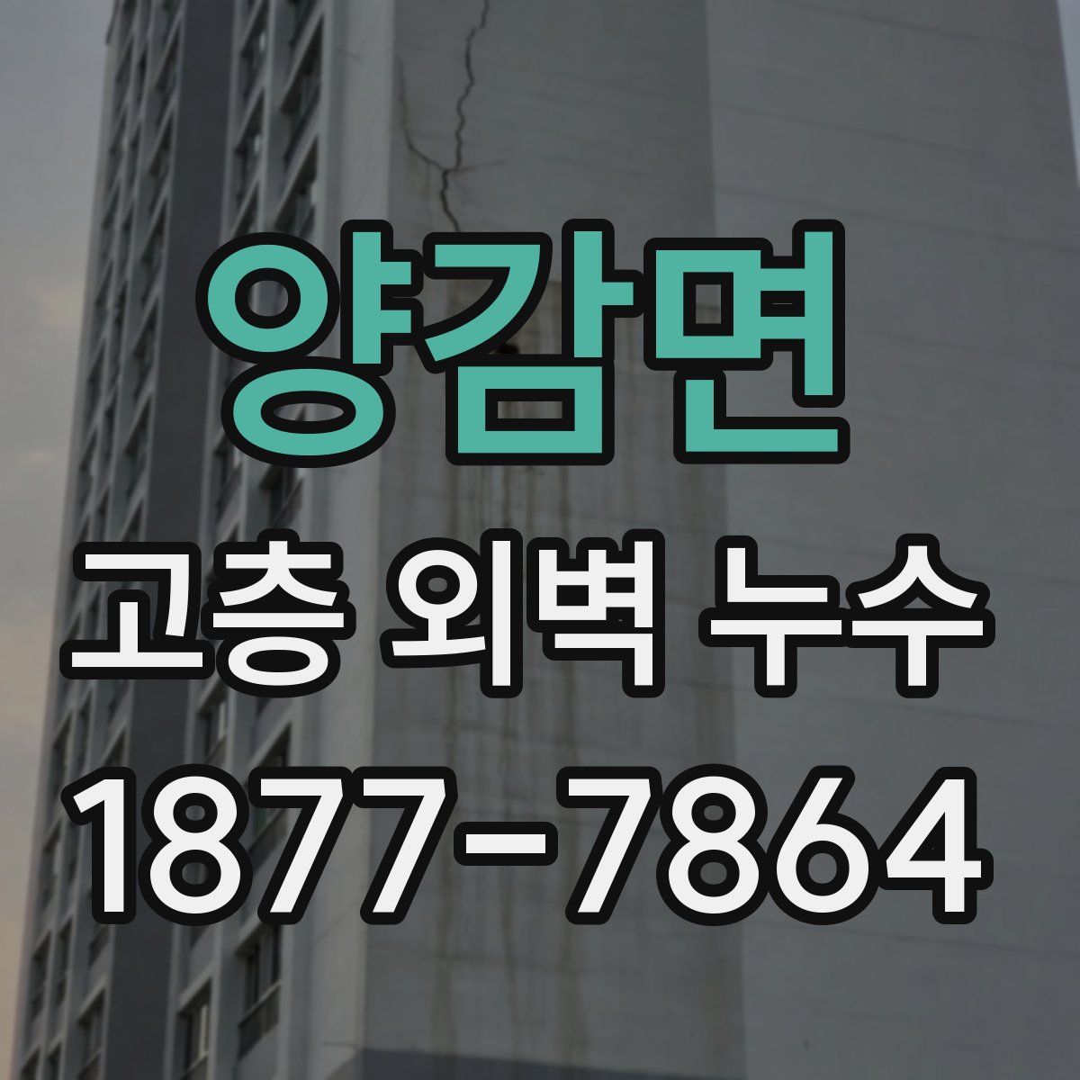 양감면 고층 외벽 누수