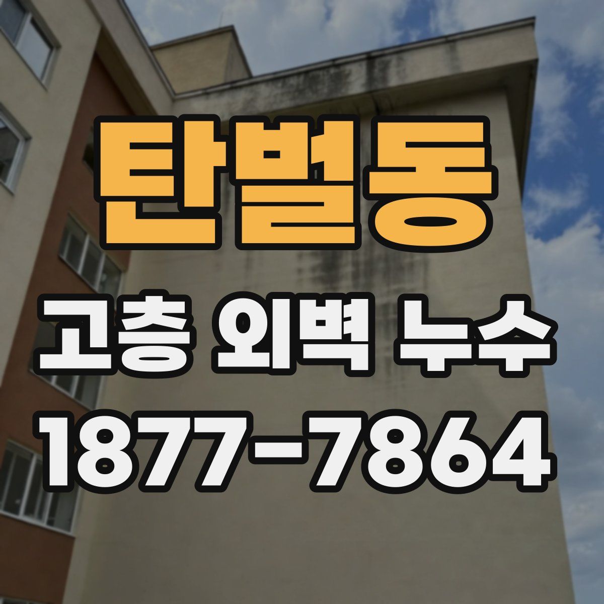 탄벌동 고층 외벽 누수