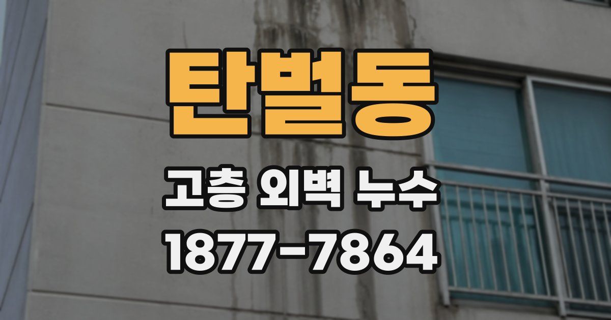 탄벌동 고층 외벽 누수