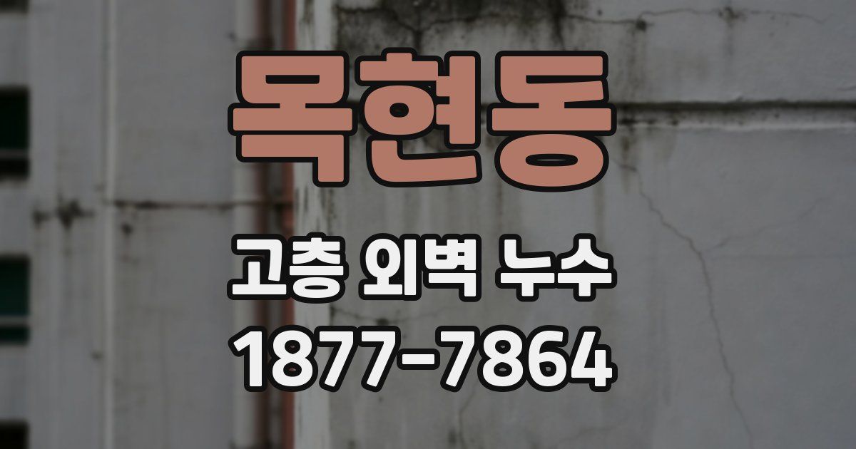 목현동 고층 외벽 누수