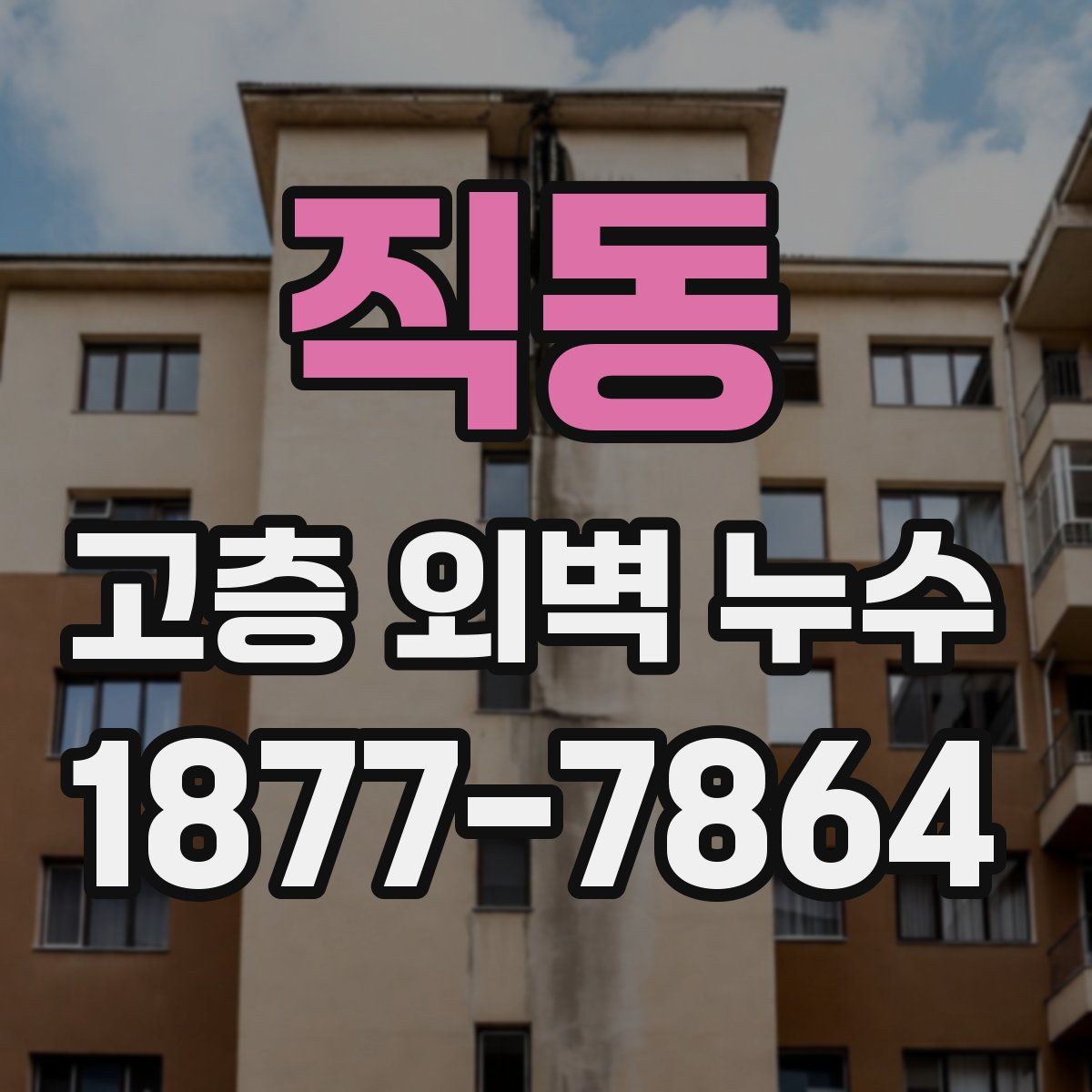 직동 고층 외벽 누수