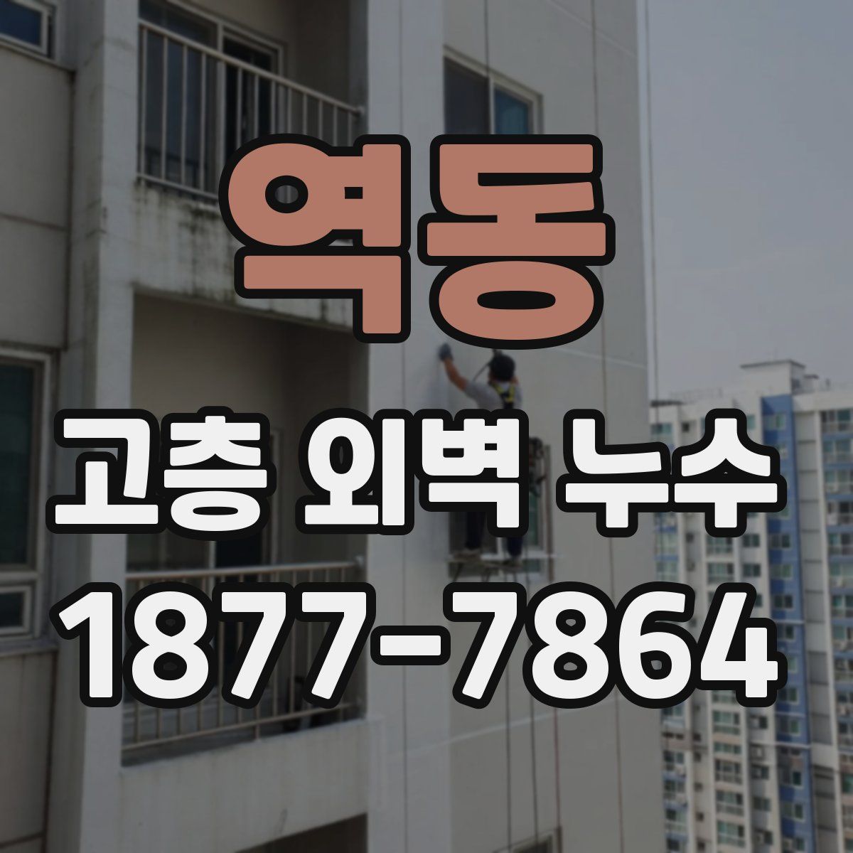 역동 고층 외벽 누수