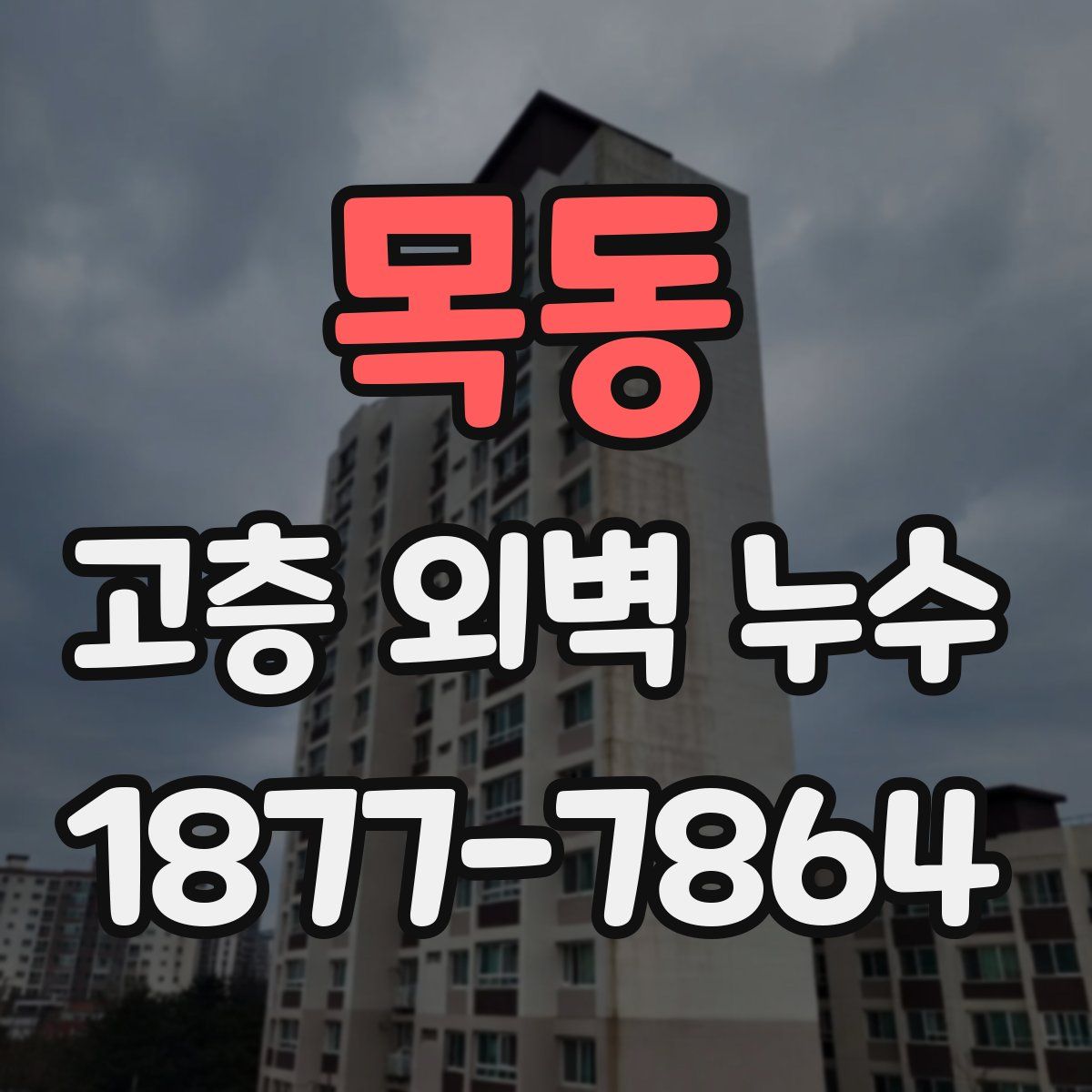 목동 고층 외벽 누수