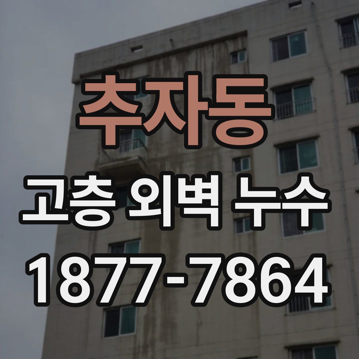 추자동 고층 외벽 누수