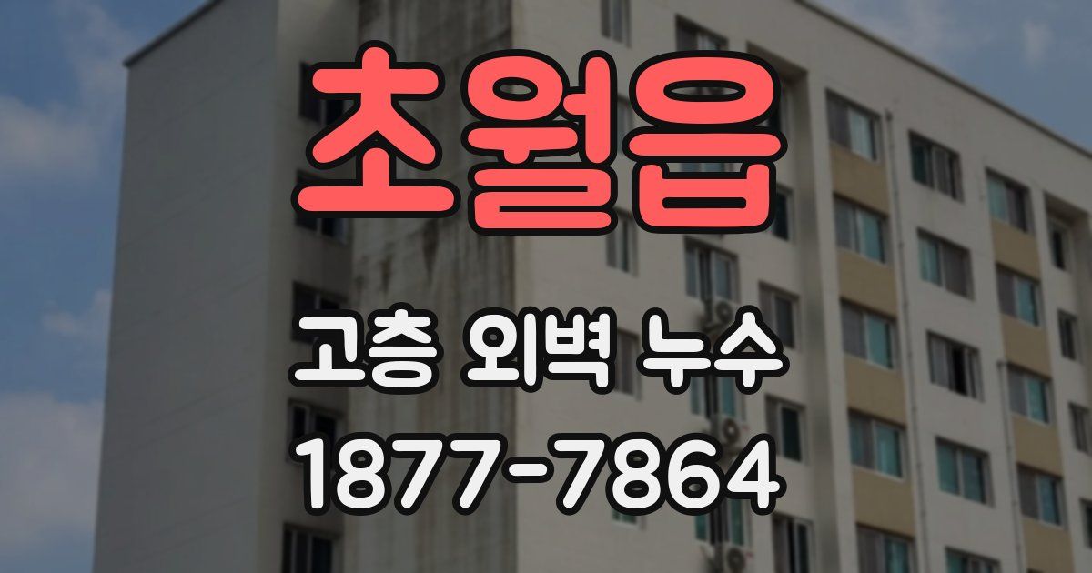 초월읍 고층 외벽 누수