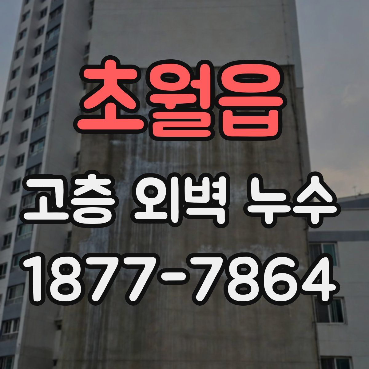 초월읍 고층 외벽 누수