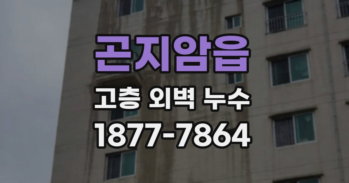 곤지암읍 고층 외벽 누수