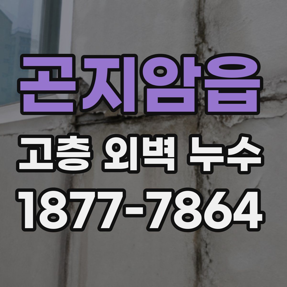 곤지암읍 고층 외벽 누수