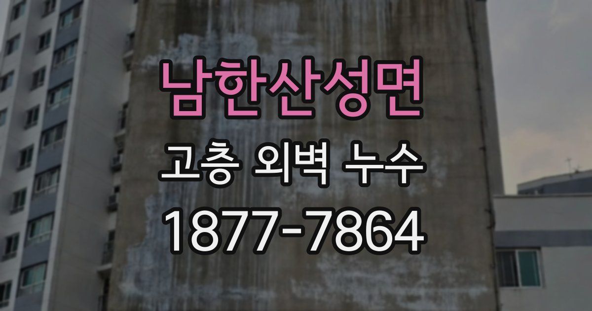 남한산성면 고층 외벽 누수