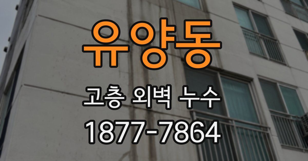 유양동 고층 외벽 누수