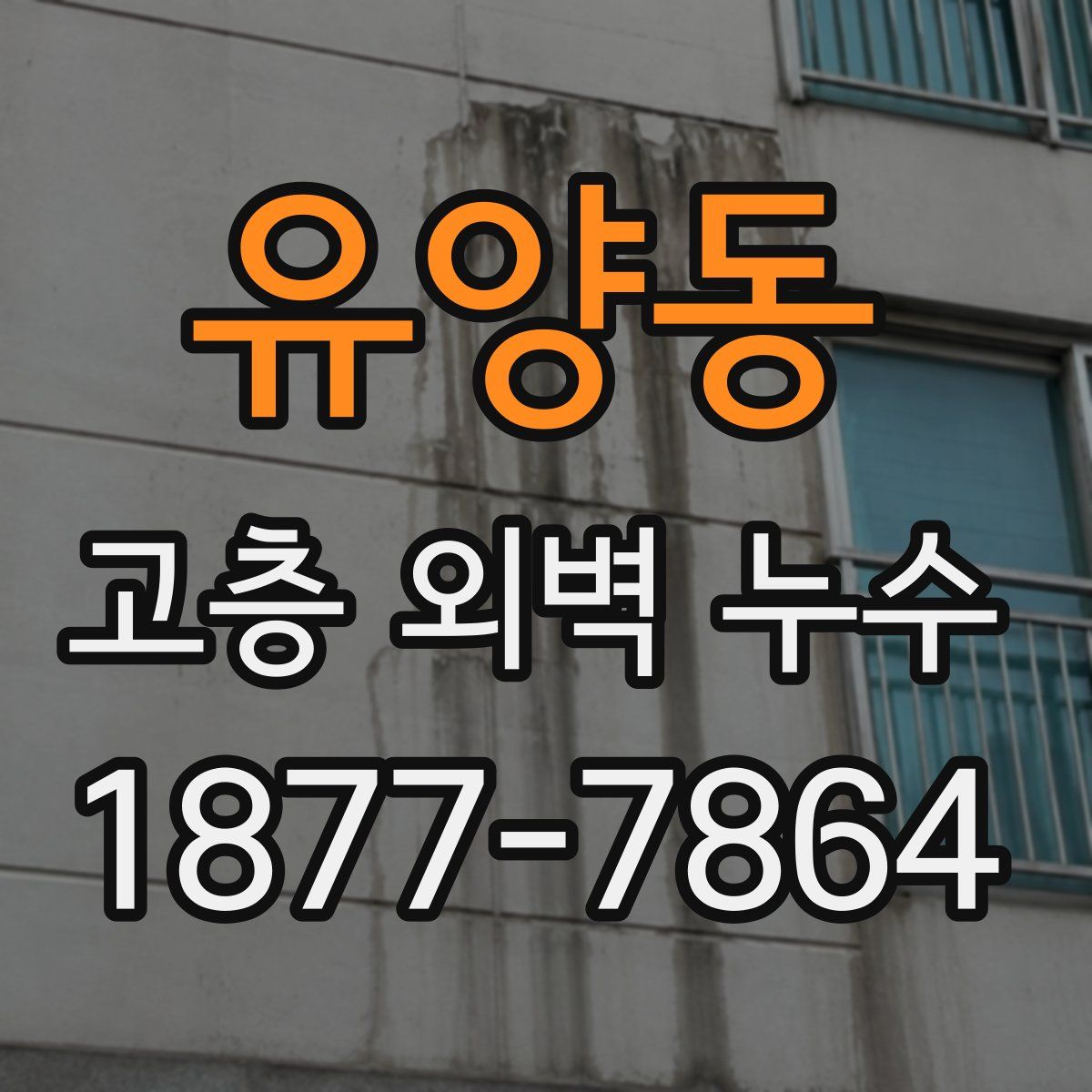 유양동 고층 외벽 누수