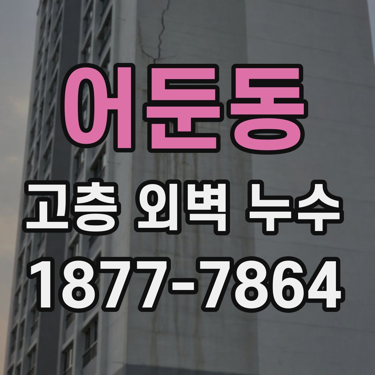 어둔동 고층 외벽 누수