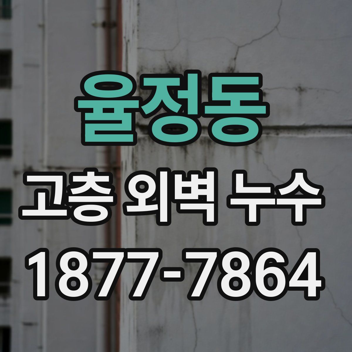 율정동 고층 외벽 누수