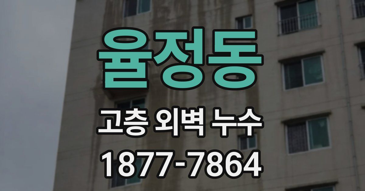 율정동 고층 외벽 누수