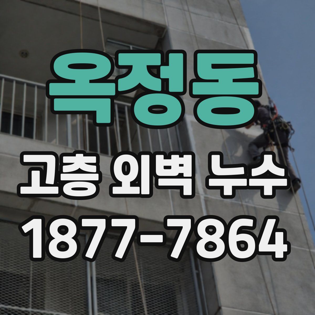 옥정동 고층 외벽 누수