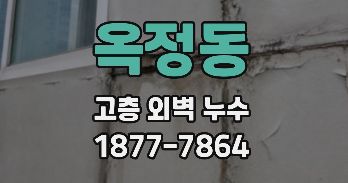 옥정동 고층 외벽 누수