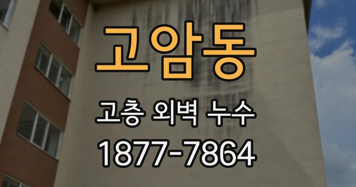 고암동 고층 외벽 누수