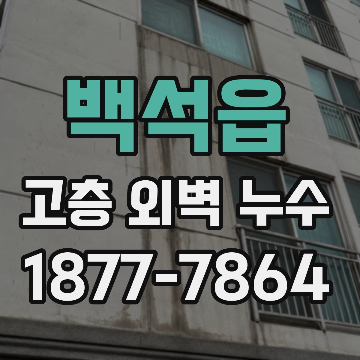백석읍 고층 외벽 누수